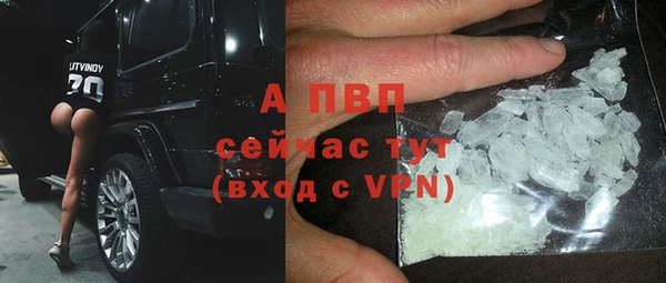 ПСИЛОЦИБИНОВЫЕ ГРИБЫ Козельск