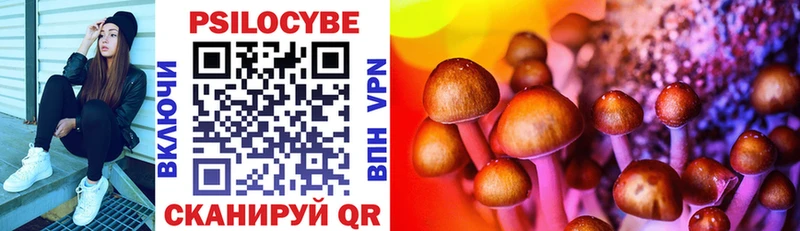 Псилоцибиновые грибы Psilocybine cubensis  Купить  Гаврилов Посад 