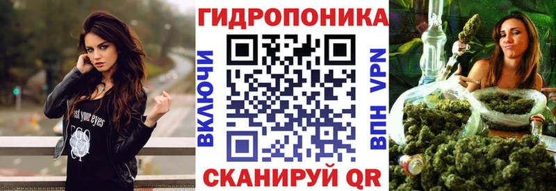 Купить где  Гаврилов Посад  Бошки Шишки ГИДРОПОН 